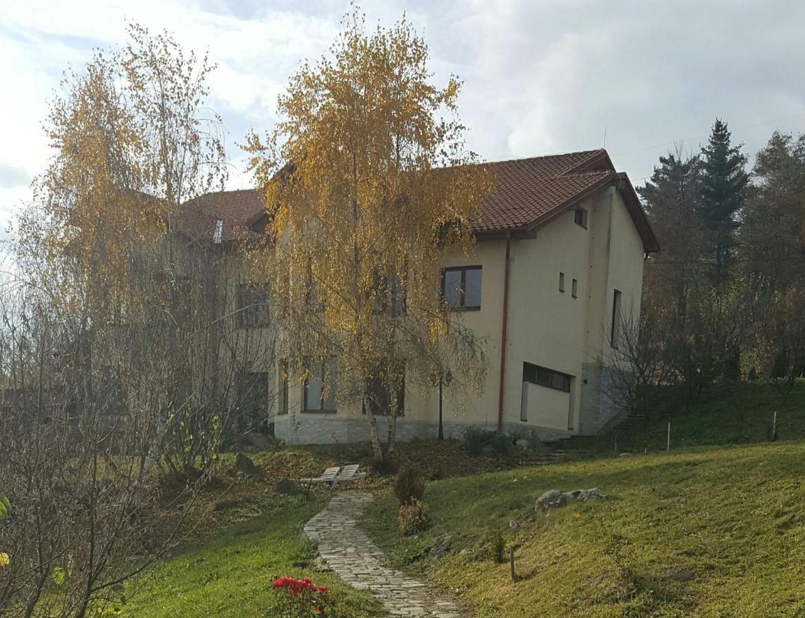 Trovanti Apartment Feleacu 外观 照片